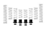 Eibach 18-21 Polaris RZR XP Turbo Pro-UTV Stage 2 Performance Spring System (Set of 8 Springs) Fashion