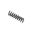 Bilstein 96-03 Mercedes-Benz E320 B3 OE Replacement Coil Spring - Rear Online